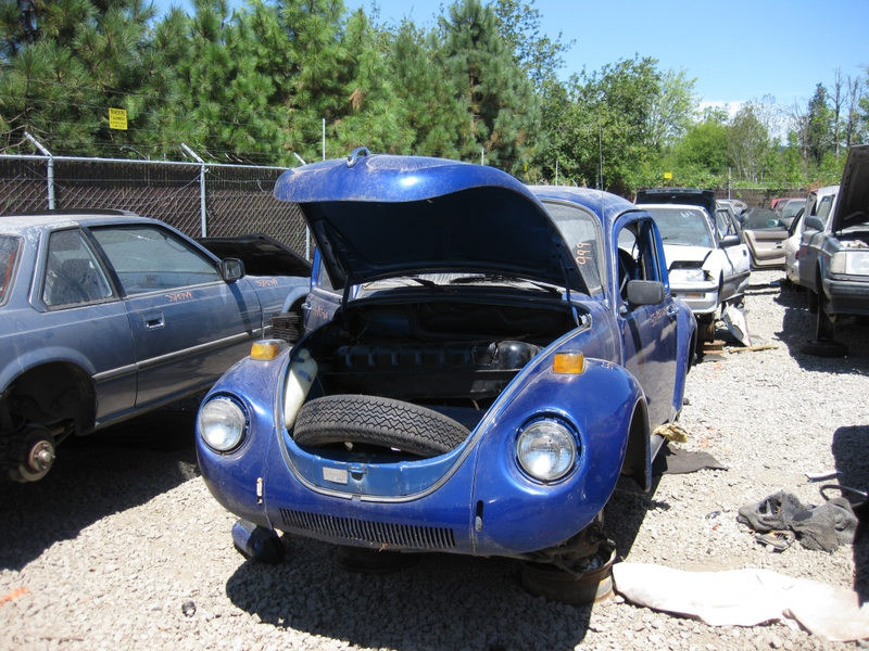 Illustration for article titled Went to a car graveyard today